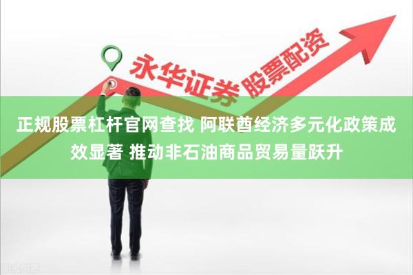 正规股票杠杆官网查找 阿联酋经济多元化政策成效显著 推动非石油商品贸易量跃升