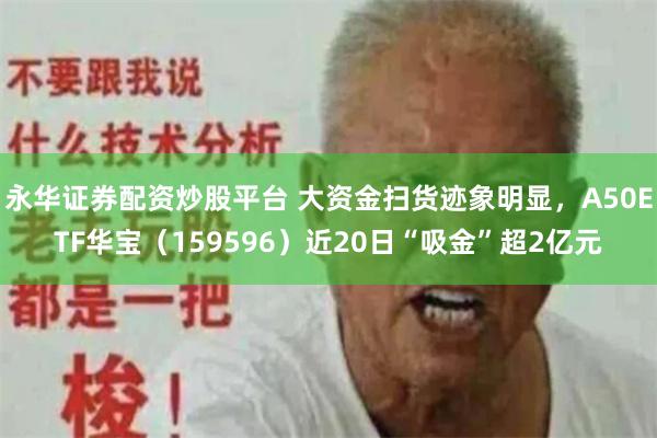 永华证券配资炒股平台 大资金扫货迹象明显，A50ETF华宝（159596）近20日“吸金”超2亿元