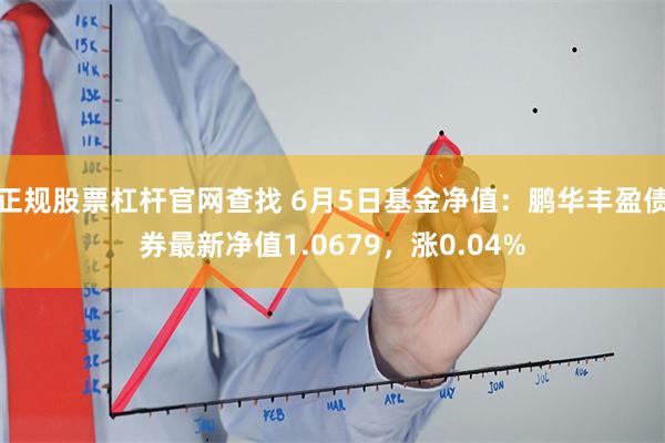 正规股票杠杆官网查找 6月5日基金净值：鹏华丰盈债券最新净值1.0679，涨0.04%