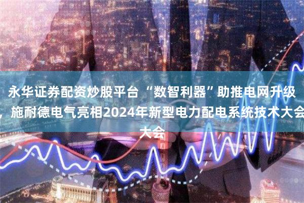 永华证券配资炒股平台 “数智利器”助推电网升级，施耐德电气亮相2024年新型电力配电系统技术大会