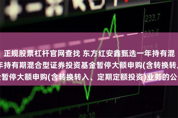 正规股票杠杆官网查找 东方红安鑫甄选一年持有混合: 东方红安鑫甄选一年持有期混合型证券投资基金暂停大额申购(含转换转入、定期定额投资)业务的公告
