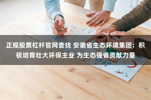 正规股票杠杆官网查找 安徽省生态环境集团：积极培育壮大环保主业 为生态强省贡献力量
