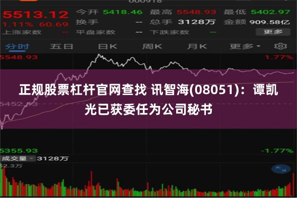正规股票杠杆官网查找 讯智海(08051)：谭凯光已获委任为公司秘书