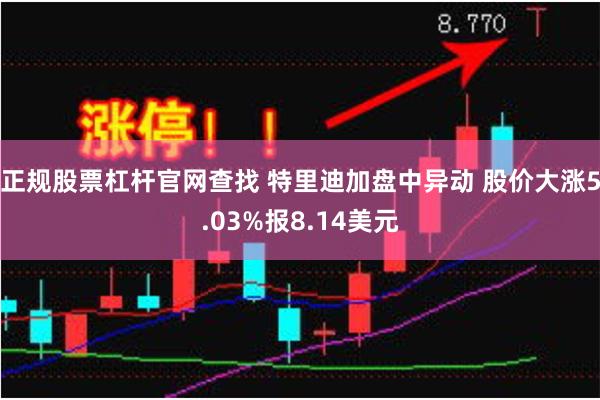 正规股票杠杆官网查找 特里迪加盘中异动 股价大涨5.03%报8.14美元