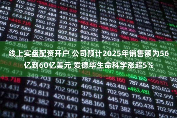 线上实盘配资开户 公司预计2025年销售额为56亿到60亿美元 爱德华生命科学涨超5%